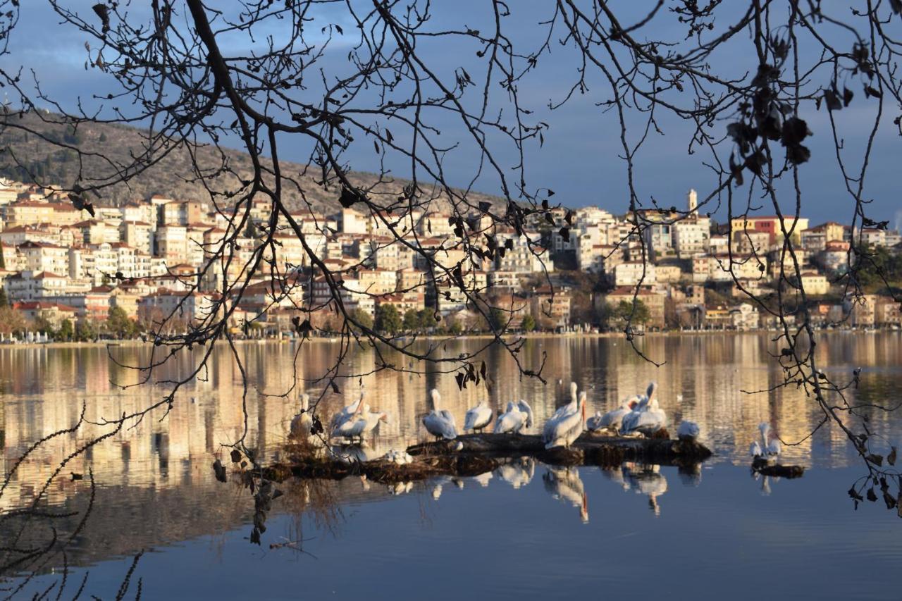 Kastoria Apartment Μπροστά Στη Λίμνη Στο Κέντρο Екстериор снимка